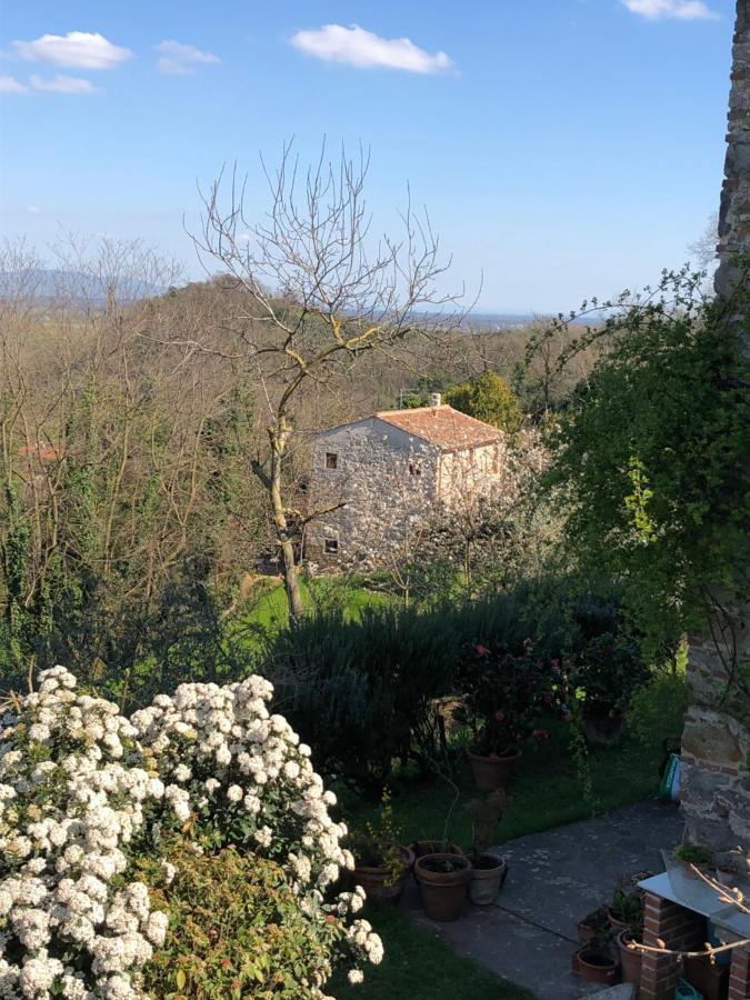 Dolce Vita In Tuscany Cottage Capannori Bagian luar foto